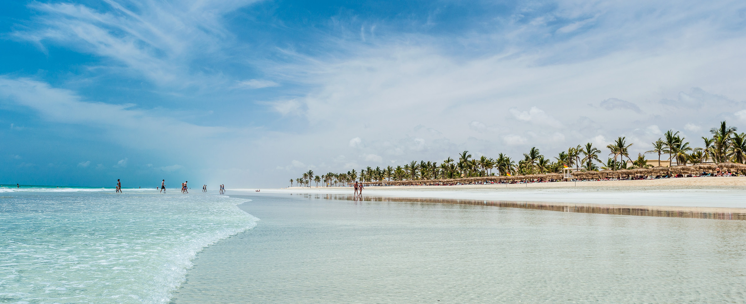 Salalah – white sandy beach and palm trees