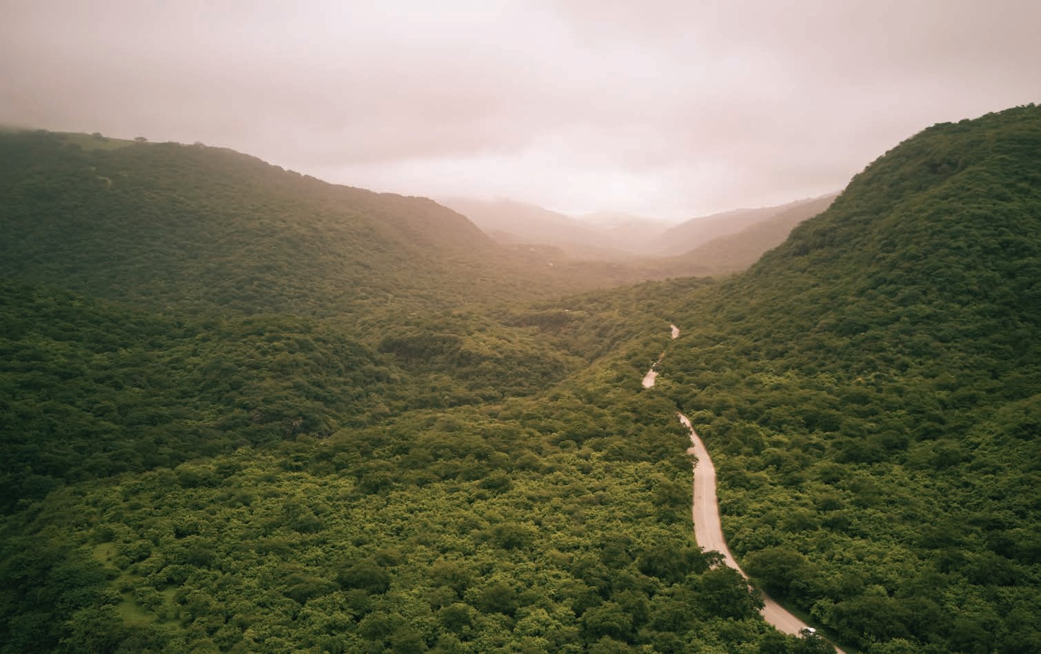 Green hills of Salalah during the Khareef season, Oman